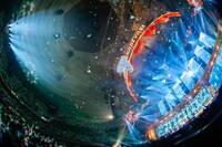 けやき坂46 東京・日本武道館公演の様子。（写真提供：Sony Music Records）