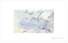 王舟「Thailand」SIDE Thailandジャケット