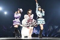 「渡辺麻友卒業コンサート～みんなの夢が叶いますように～」より。