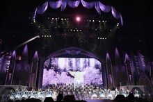 「渡辺麻友卒業コンサート～みんなの夢が叶いますように～」より。