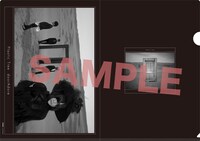 Plastic Tree「doorAdore」完全限定盤A購入特典クリアファイルA（タワーレコード）
