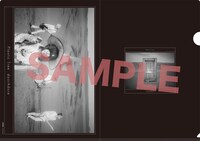 Plastic Tree「doorAdore」完全限定盤A購入特典クリアファイルC（Amazon.co.jp）