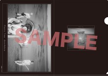 Plastic Tree「doorAdore」完全限定盤A購入特典クリアファイルC（Amazon.co.jp）