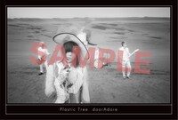 Plastic Tree「doorAdore」通常盤購入特典ポストカードF（Amazon.co.jp）