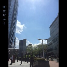 斉藤和義「青空ばかり」配信ジャケット