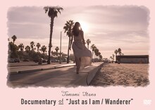 板野友美ドキュメンタリーDVD「Documentary of “Just as I am / Wanderer”」ジャケット