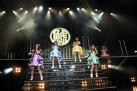 チームしゃちほこ「鯱詣2018」東京・Zepp Tokyo公演の様子。