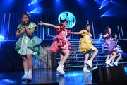 チームしゃちほこ「鯱詣2018」東京・Zepp Tokyo公演の様子。