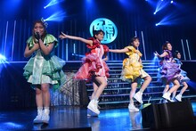 チームしゃちほこ「鯱詣2018」東京・Zepp Tokyo公演の様子。