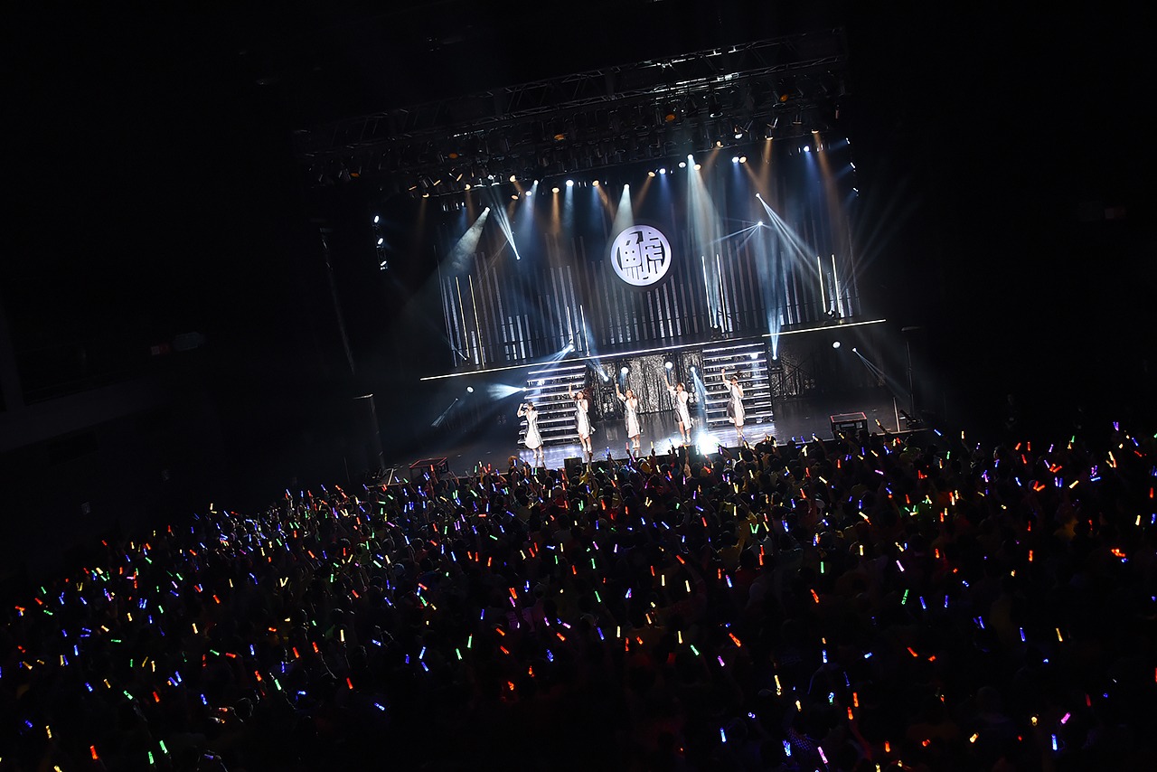 チームしゃちほこ「鯱詣2018」東京・Zepp Tokyo公演の様子。