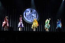 チームしゃちほこ「鯱詣2018」東京・Zepp Tokyo公演の様子。