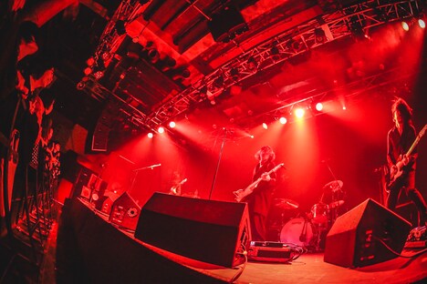 THE NOVEMBERS（撮影：創-sou-）