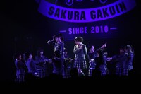 さくら学院「The Road to Graduation 2017 ～Sakura de Sacas～」の様子。