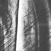 NOCTURNAL BLOODLUST「WHITEOUT」通常盤ジャケット