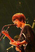 ヤマサキセイヤ（キュウソネコカミ）（撮影：渡邉一生）