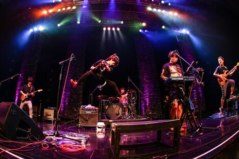 キュウソネコカミ（撮影：渡邉一生）