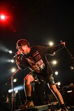 ヨコタシンノスケ（キュウソネコカミ）（撮影：渡邉一生）