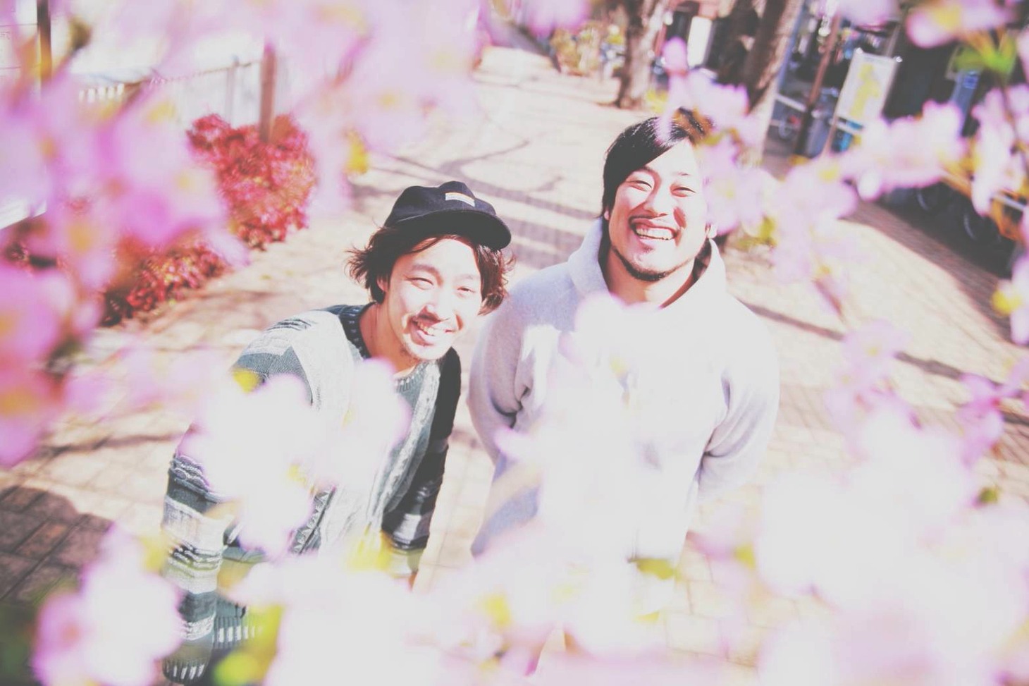 THE FOREVER YOUNG