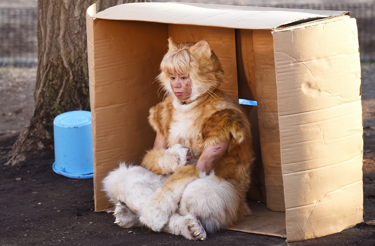 映画「トラさん」で猫役を演じる北山宏光。 (c)板羽皆/集英社・「トラさん」製作委員会