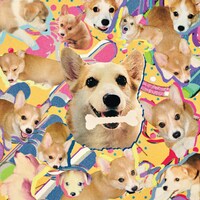 ONIGAWARA「ナンバーワンちゃん」配信ジャケット