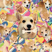 ONIGAWARA「ナンバーワンちゃん」配信ジャケット