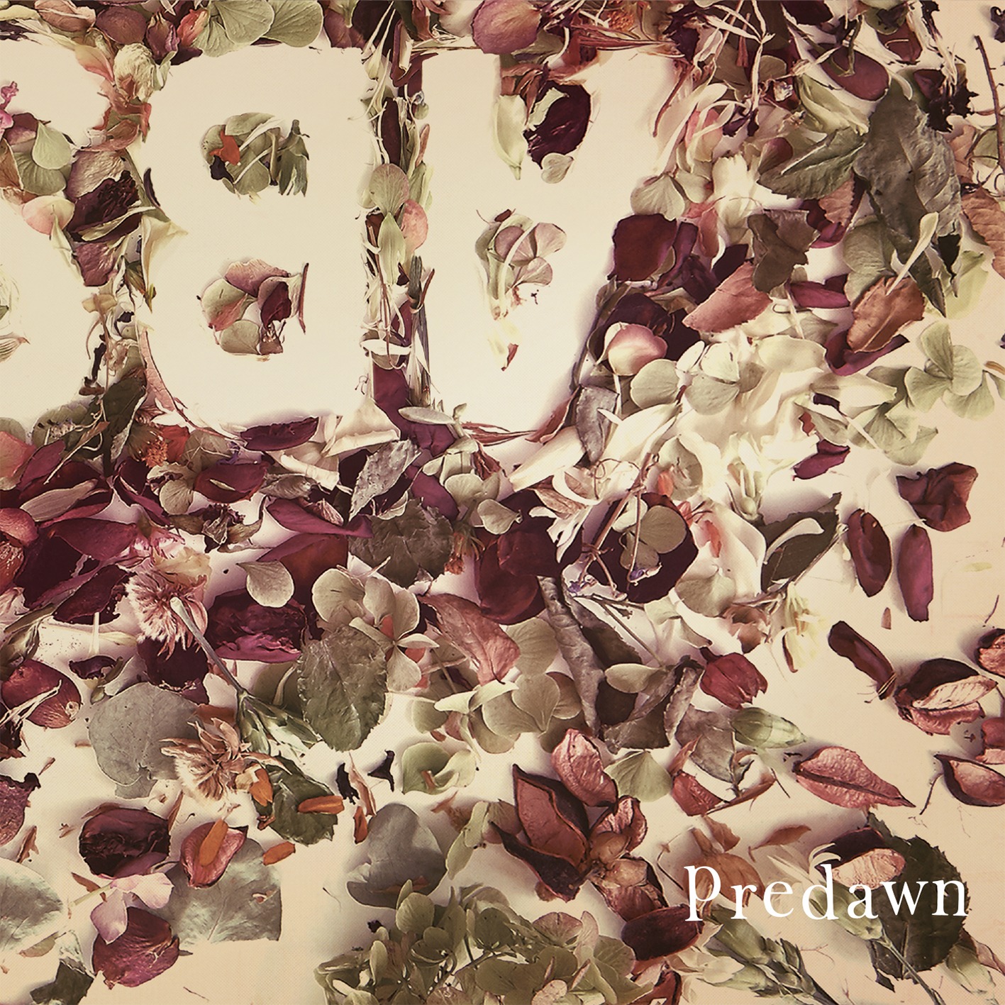 Predawn「Absence」ジャケット