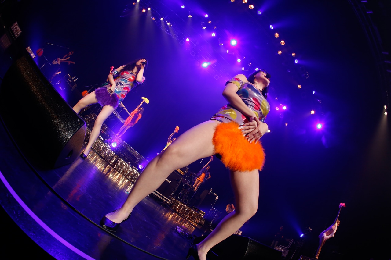 ベッド・イン「ベッド・イン TOUR 2018 祝！“TOKYO”発射記念ツアー ～サクセス・ストーリーは突然に…～」ファイナル公演の様子。（撮影：ほりたよしか）