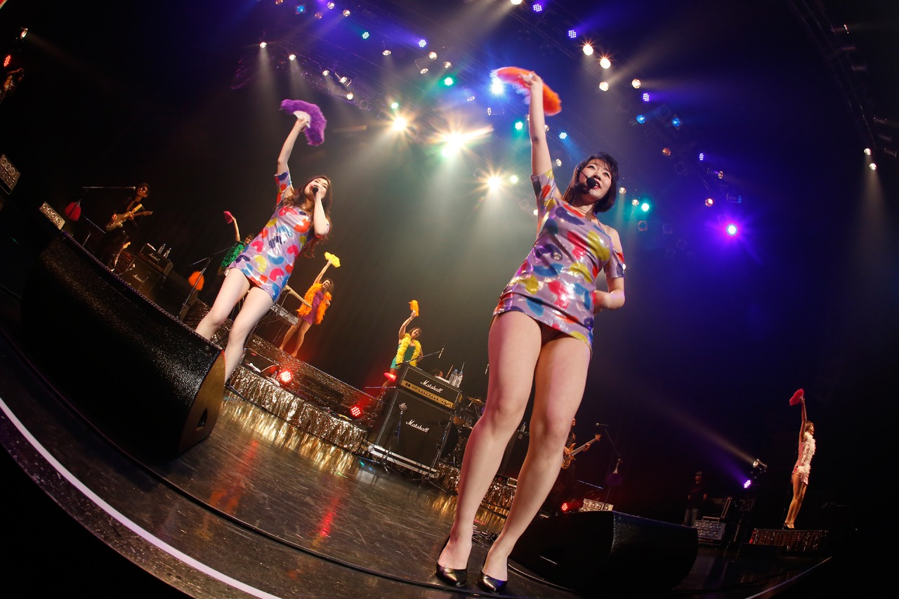 ベッド・イン「ベッド・イン TOUR 2018 祝！“TOKYO”発射記念ツアー ～サクセス・ストーリーは突然に…～」ファイナル公演の様子。（撮影：ほりたよしか）