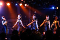 ロッカジャポニカ（撮影：笹森健一）