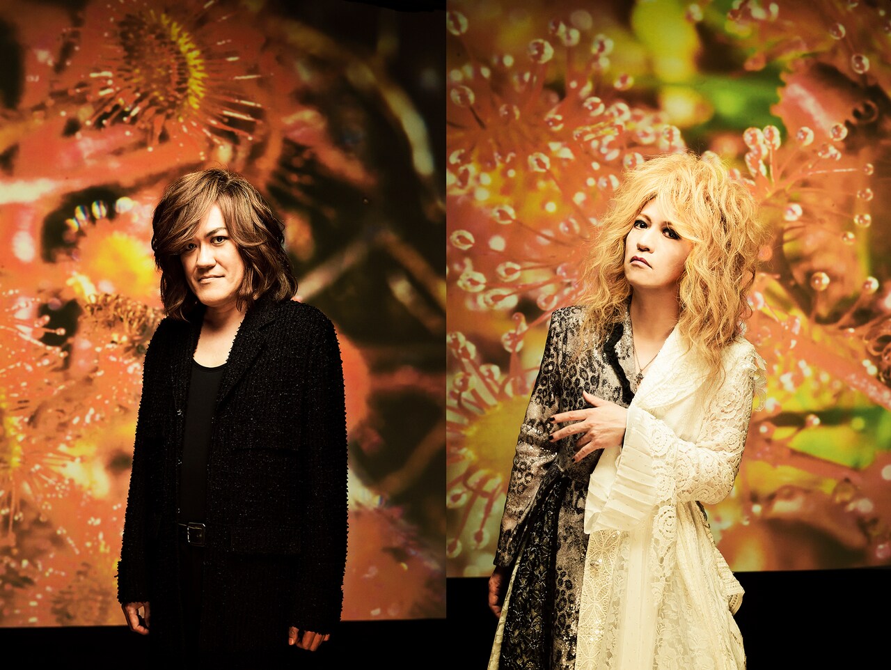 筋肉少女帯の橘高と本城、全7カ所で弾き語りツアー開催