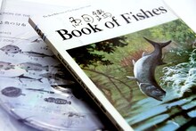 サカナクション「魚図鑑」期間生産限定盤パッケージ