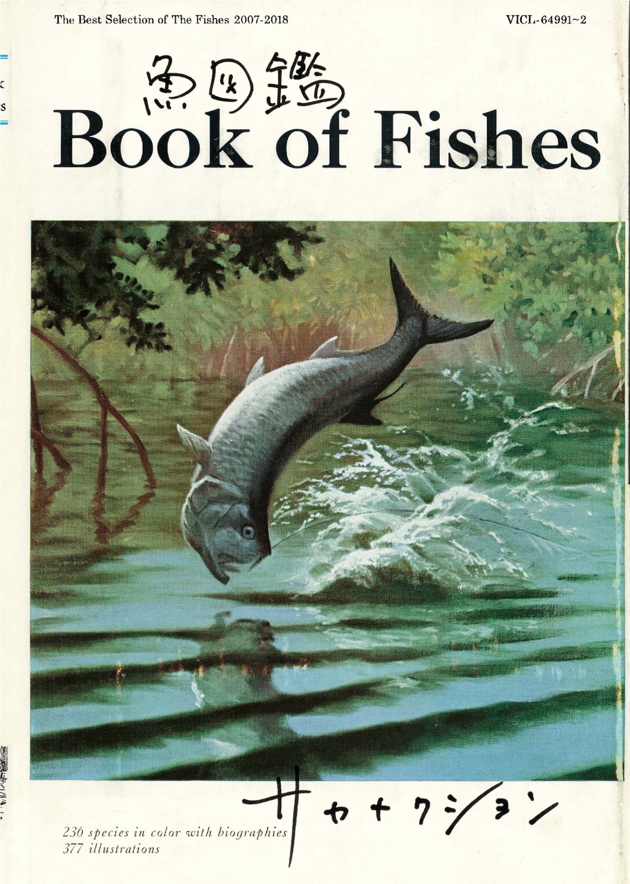 サカナクション「魚図鑑」完全生産限定盤プレミアムBOXに付属する「魚