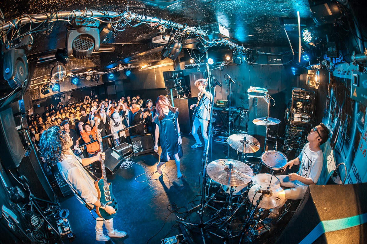 カミツキ（Photo by Shin Ishihara）