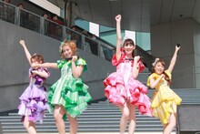 チームしゃちほこ