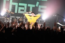 POLYSICS「結成20周年記念TOUR "That's Fantastic!" ～Hello! We are New POLYSICS!!!!～」東京・LIQUIDROOM公演の様子。（撮影：緒車寿一）