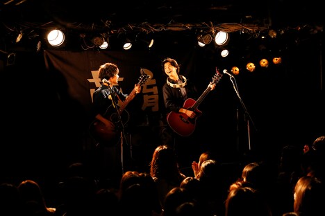 さくらしめじ（撮影：山川哲矢）