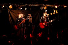 さくらしめじ（撮影：山川哲矢）