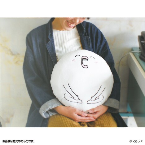 「はぐちさん クッション」使用例