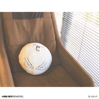 「はぐちさん クッション」使用例