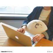 「はぐちさん クッション」使用例