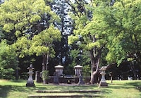 熊野本宮大社の様子。