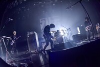 Ivy to Fraudulent Game（撮影：古渓一道）