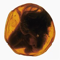 jan and naomi「Fracture」ジャケット