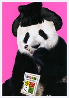 桑田佳祐「がらくたライブ」ジャケット