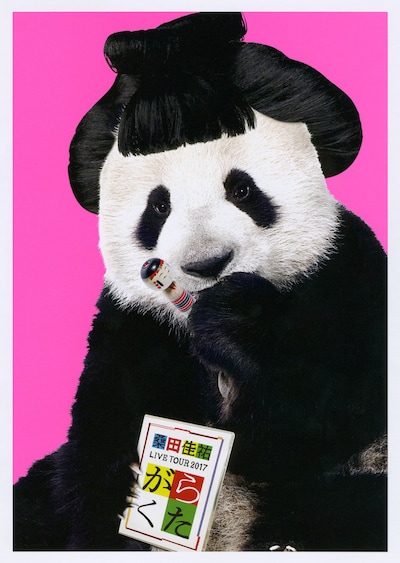 桑田佳祐「がらくたライブ」ジャケット