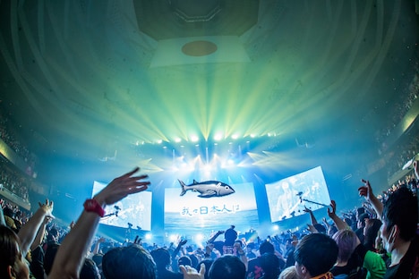 「打首獄門同好会 at 日本武道館」の様子。（Photo by HayachiN）