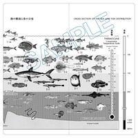 「魚分布図チケットホルダー」外側デザイン