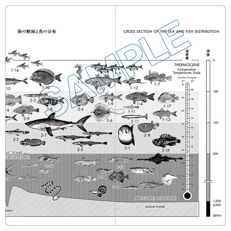 「魚分布図チケットホルダー」外側デザイン