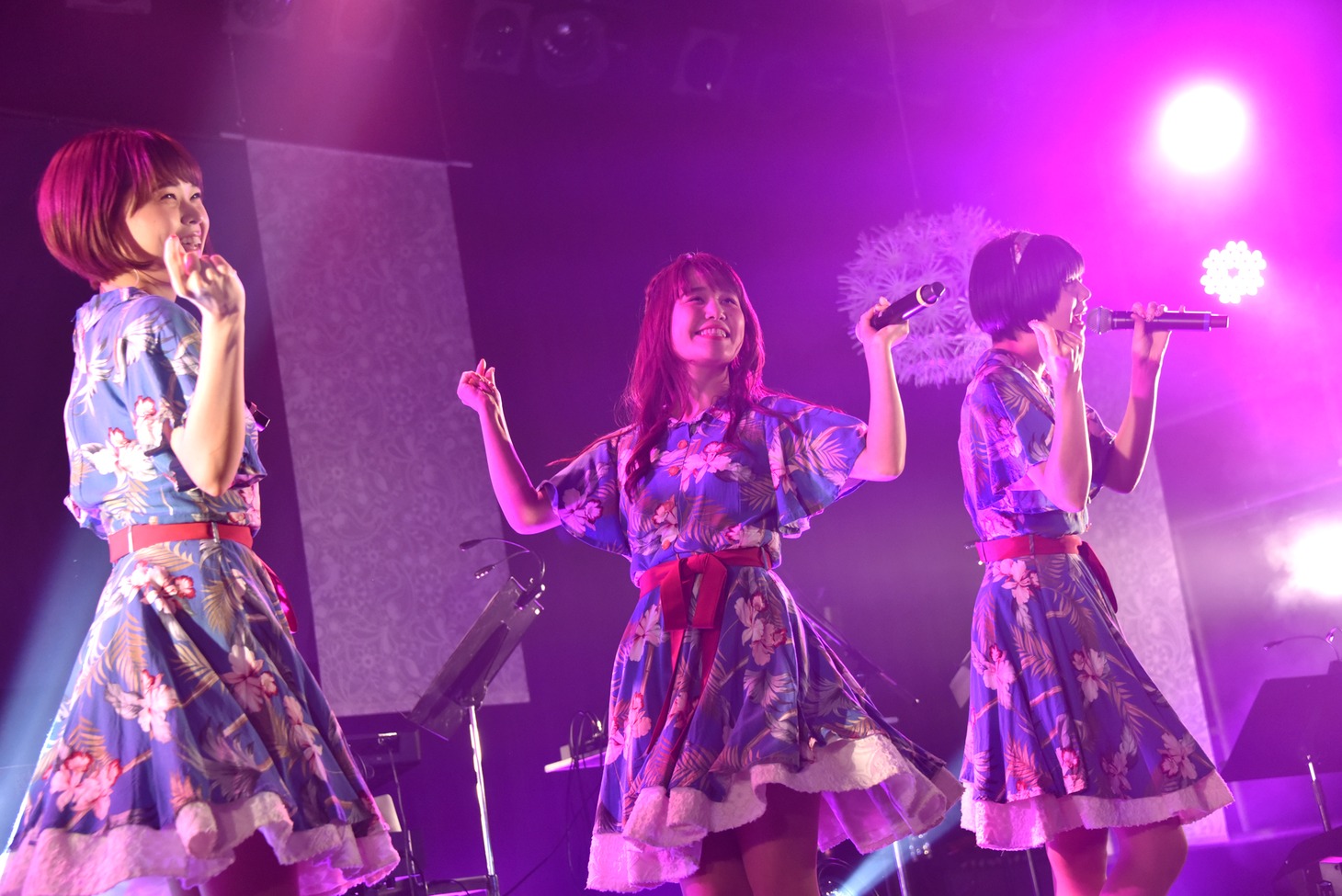 Negicco