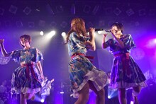 Negicco「SPRING 2018 TOUR～あなたの街に花束を～supported by サトウ食品」最終公演の様子。